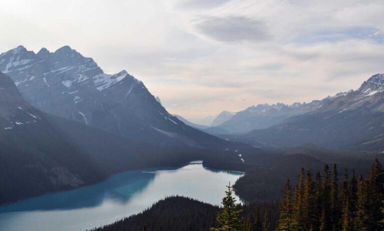 why technology should be used in the classroom roartechmental