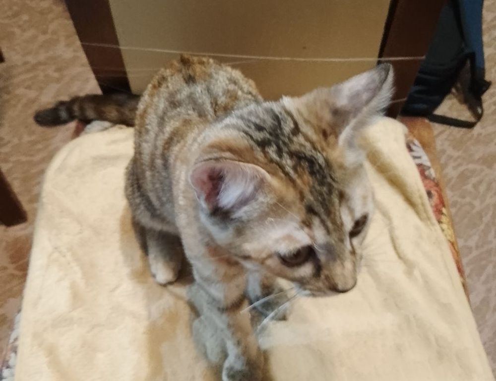 why use uhoebeans software in business