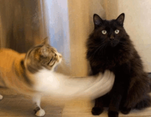 world tech graphic design gfxtek