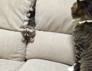 world tech news togtechify