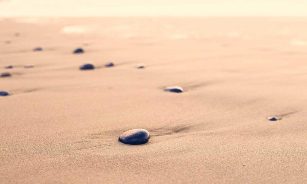 zosisfod eye brow pencil