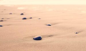 zosisfod eye brow pencil