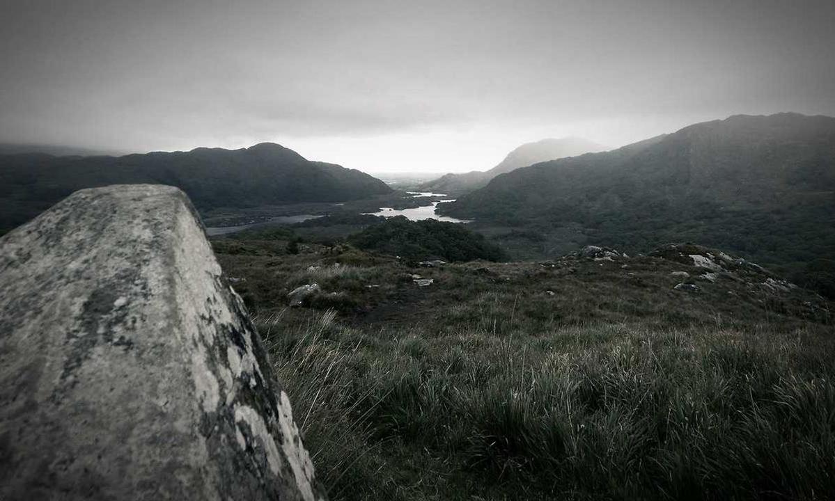 genboostermark online