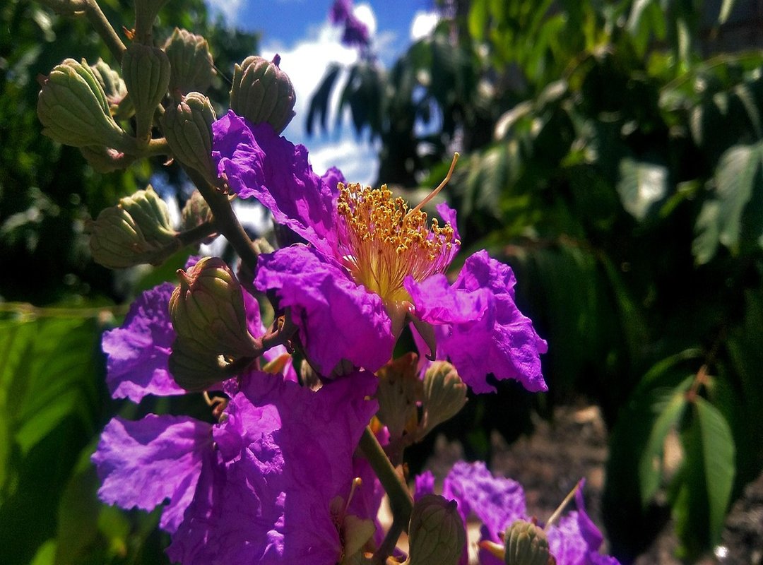 The 5 Must-Have Features in Any Elite Game Reflection Tool