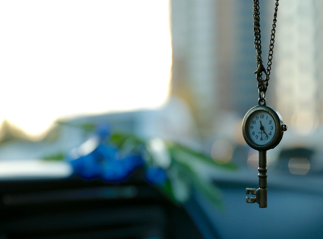 Shotscribus Software