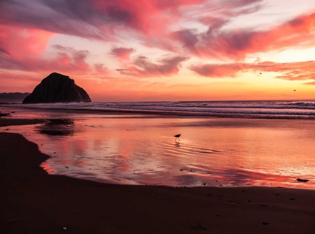 Frequently Asked Questions (FAQs)