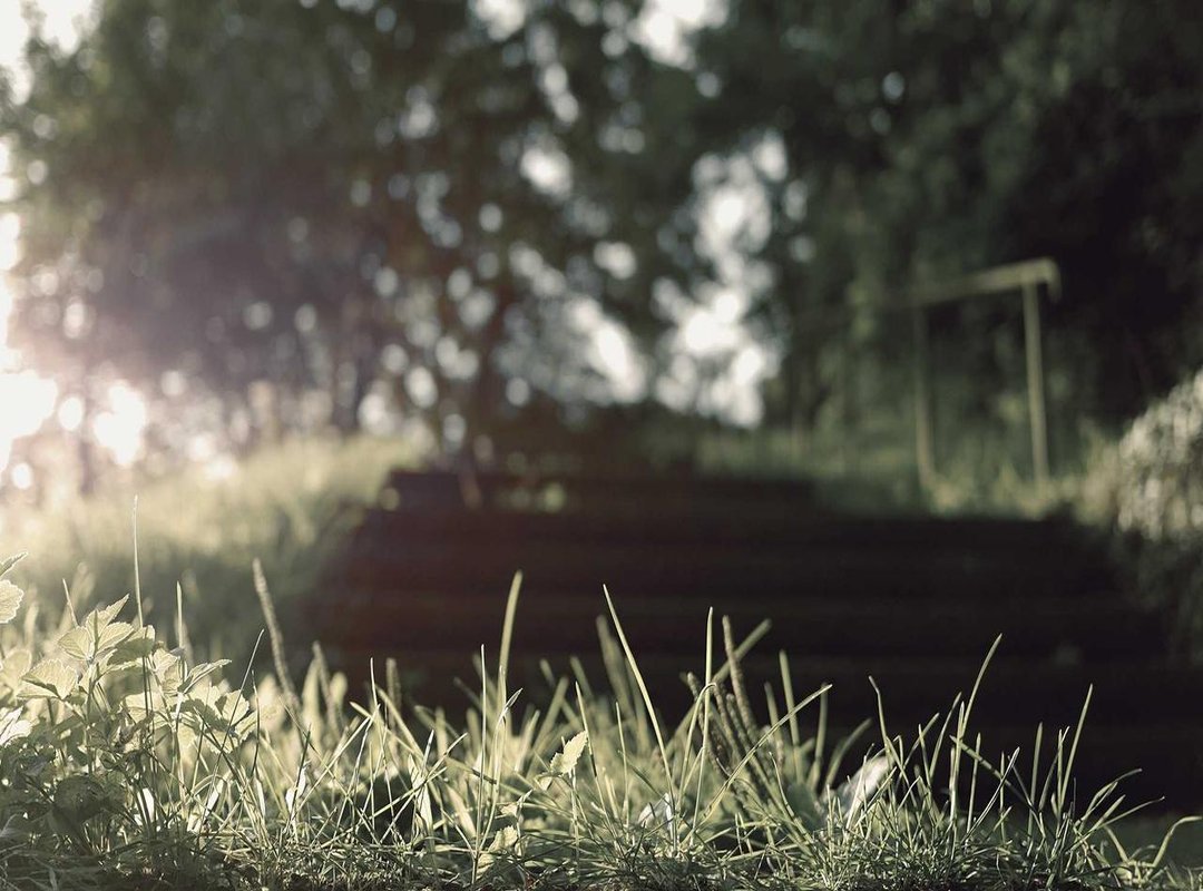 Camrip vs. Official Stream: See the Difference for Yourself