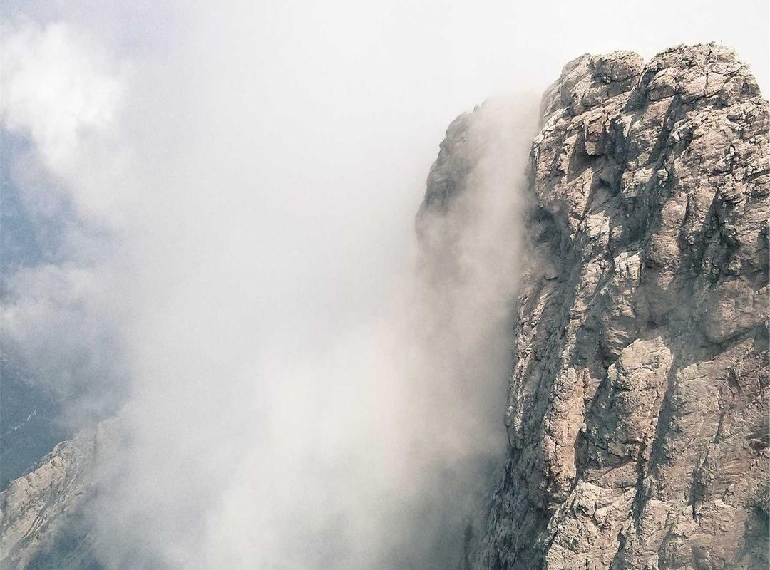 From Greenhouses to Glamping: Popular Uses and Applications