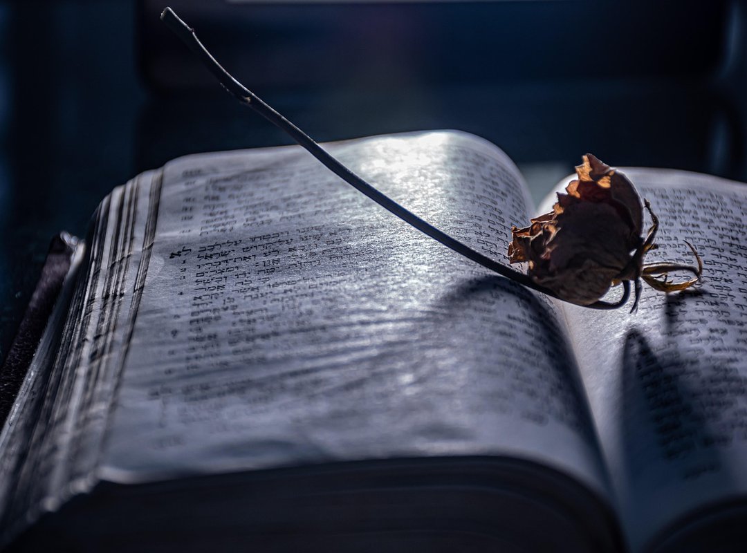 Why Our Printable Pages Are Better Than the Free Alternatives