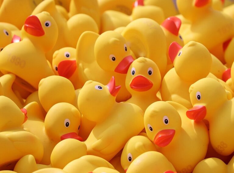 paper duck kleurplaat printen