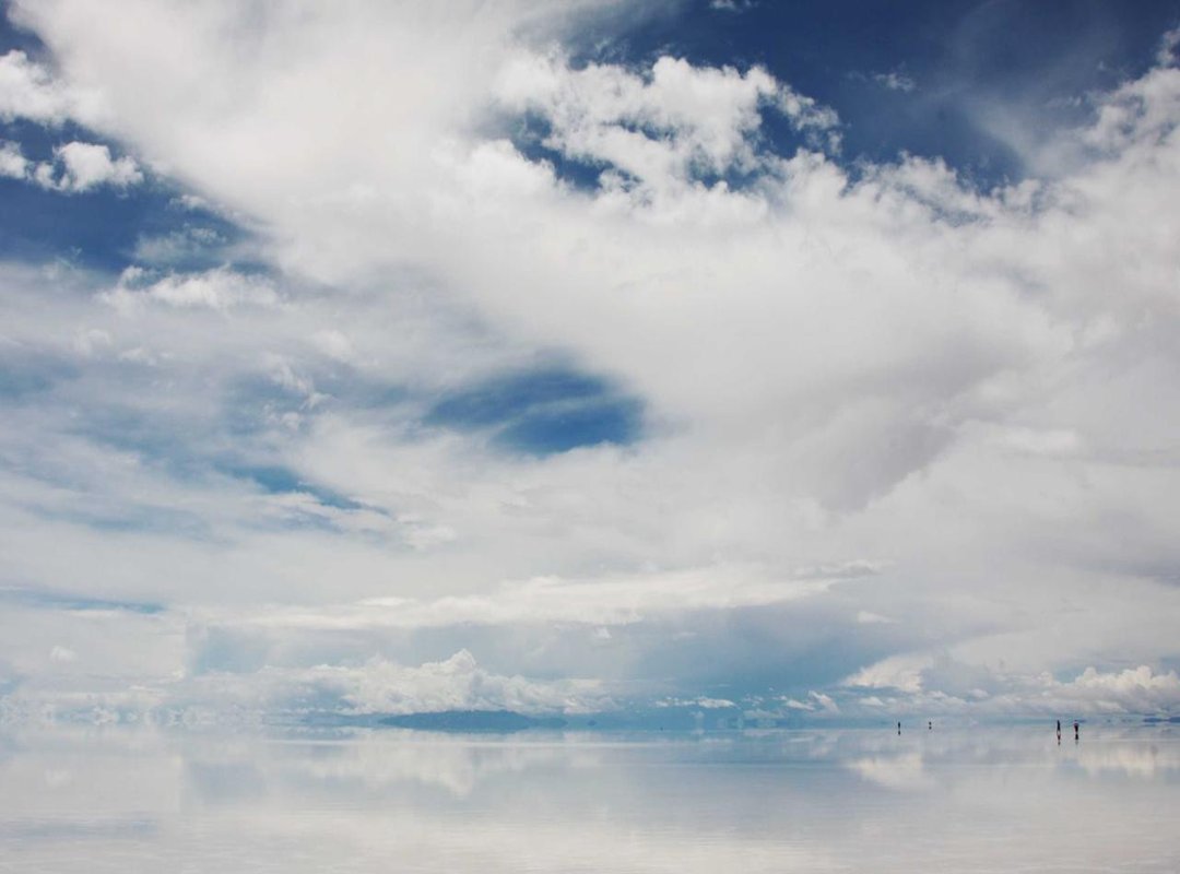 Platform-Specific Tips: How to Share GIFs on Different Platforms