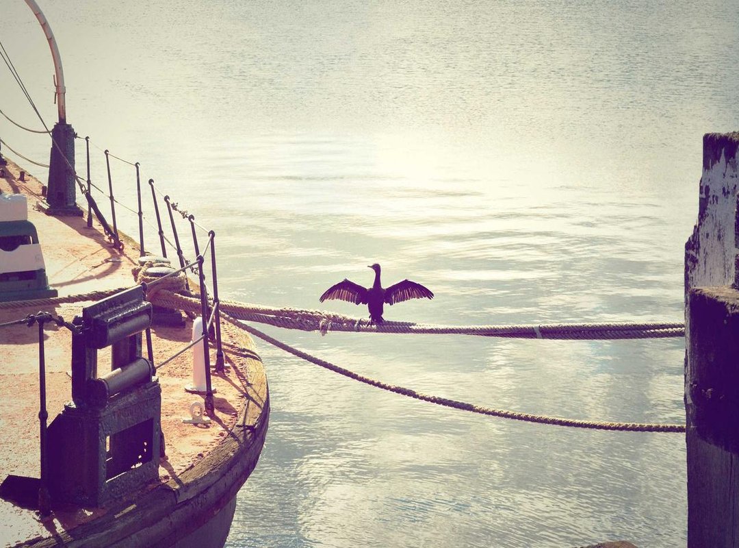 Immediate Relief: A Step-by-Step Guide to Treating Itchy Bug Bites