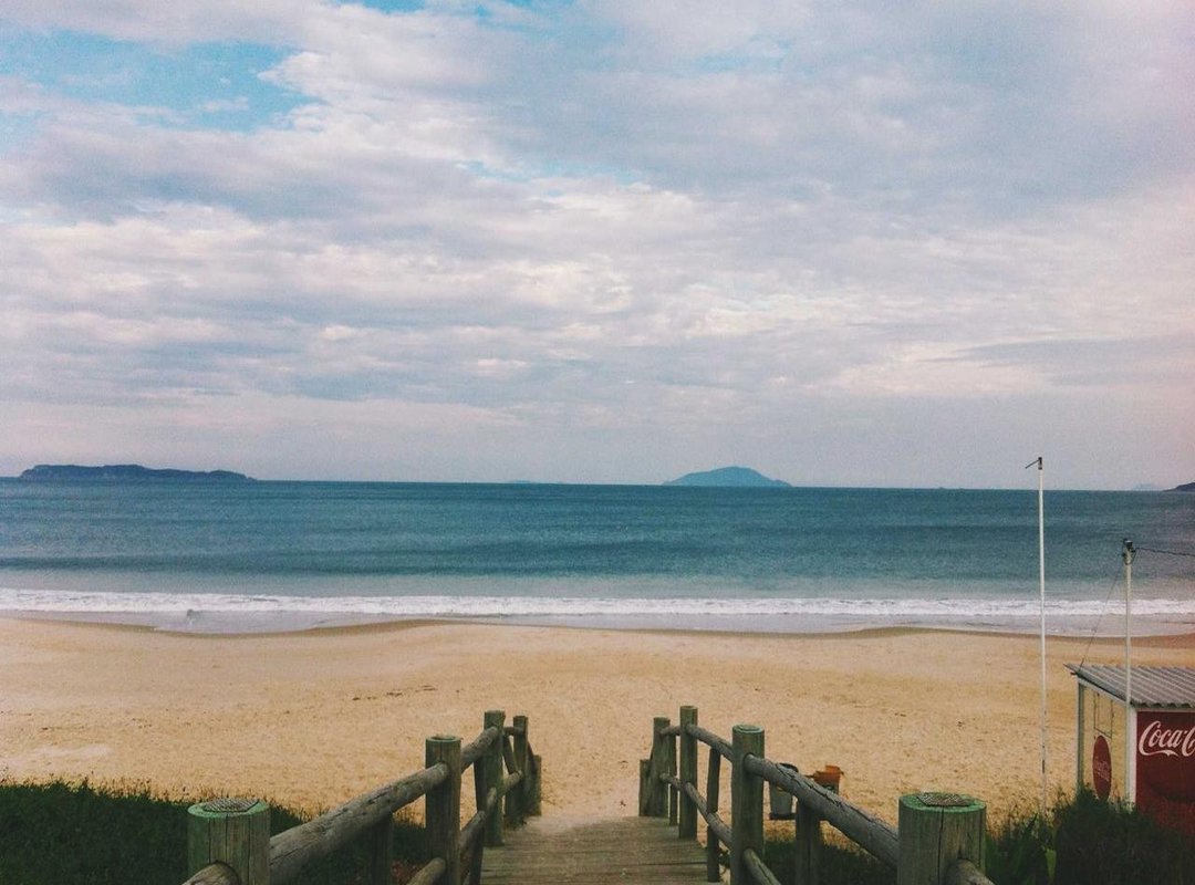 Decoding Color and Texture: A Closer Look at the Shell