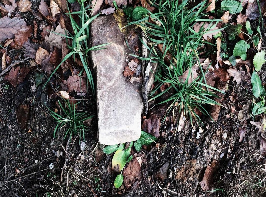 The Next Generation: Emerging Talent to Watch