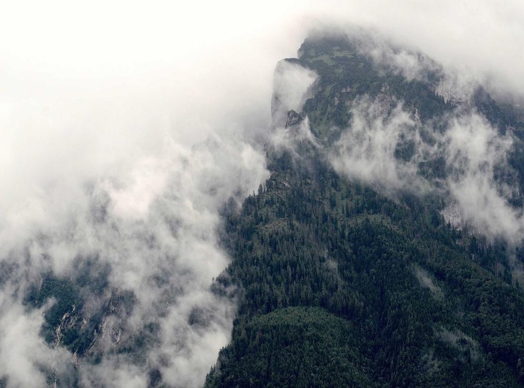 Your Next Step: What to Do With Your SXX Valuation